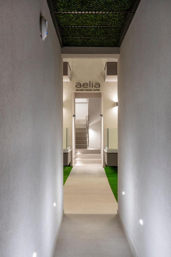 Aelia Seaside Luxury Suites Nea Karvali Zewnętrze zdjęcie